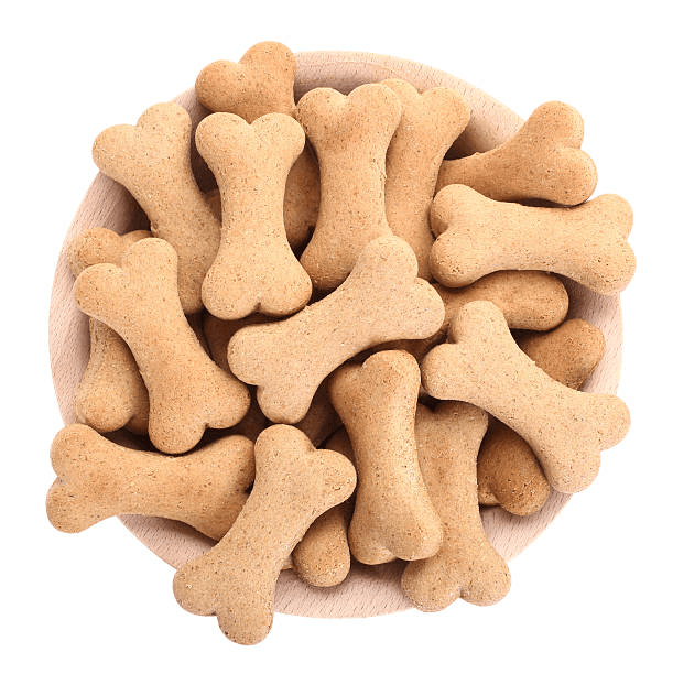 Petiscos assados do curso de confeitaria pet